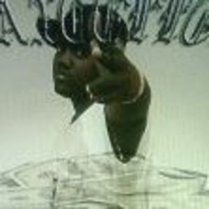 Meet your Posher, Max